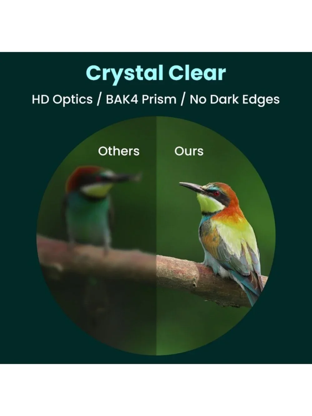 High-Powered 20x50 Waterproof Binoculars for Bird Watching, Hunting, Travel